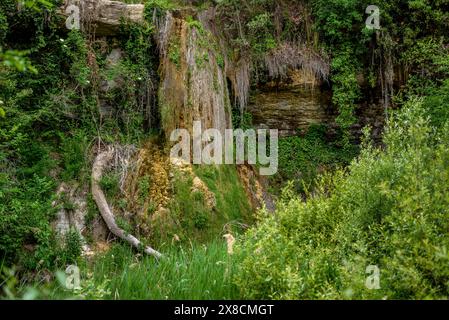 Sorgente e piscina di Bisbal, nel torrente Marganell (Bages, Barcellona, Catalogna, Spagna) ESP: Fuente y poza del Bisbal, en la rambla de Marganell Foto Stock