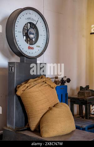 Interno del museo Rice Interpretation Center, a Camarles (Tarragona, Catalogna, Spagna) ESP Interior del museo Centro de Interpretación del Arroz Foto Stock