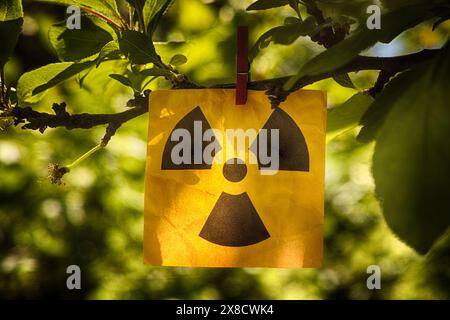 Una nota di carta gialla con il simbolo di avvertenza radiazioni apposta su un ramo d'albero con una spilla per vestiti. Primo piano. Foto Stock