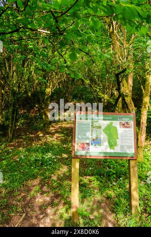 Maggio 2024 - bacheca informativa per la Long Wood Nature Reserve accessibile da Blackrock, Cheddar Gorge, Somerset, Inghilterra, Regno Unito, Foto Stock