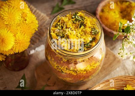 Preparazione di sciroppo di tarassone fatto in casa da fiori freschi e zucchero di canna in un vaso Foto Stock