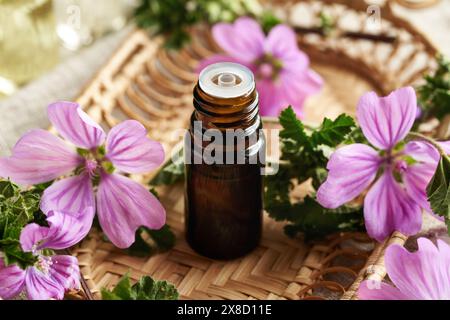 Olio essenziale Mallow in una bottiglia di vetro marrone Foto Stock