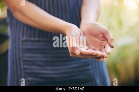 Mani, chiedere o palme di una persona per beneficenza, fiorista o chiedere aiuto, sostegno e compassione. All'aperto, nella natura e pronti a ricevere donazioni per Foto Stock