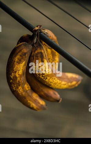 Banane mature nel mazzo. Foto di alta qualità Foto Stock