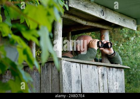 Cacciatore più anziano ed esperto seduto sul pulpito di caccia e guardando attraverso il binocolo. Un binoculare giace su un ceppo di albero ricoperto di foglie in t Foto Stock