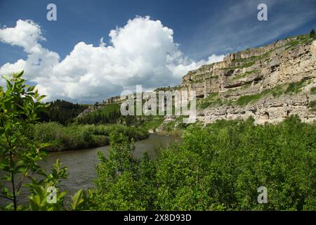 Belt Creek nel Sluice Boxes State Park a Little Belt Mountains, Montana Foto Stock