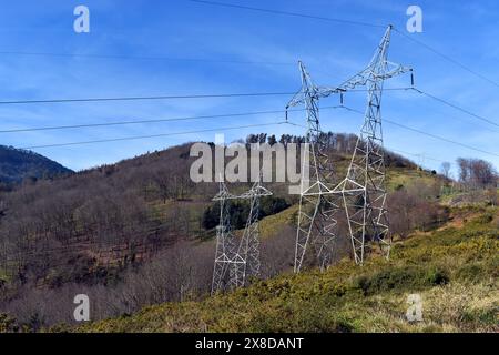 Torri ad alta tensione in un parco peri-urbano Foto Stock