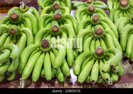 Mazzi di banane verdi si trovano in fila sul bancone di un mercato asiatico. Foto Stock