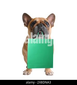 Cane carino con borsa della spesa su sfondo bianco Foto Stock