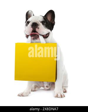 Cane carino con borsa della spesa su sfondo bianco Foto Stock