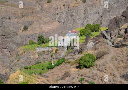 Agricoltura sostenibile nelle terre aride: Santo Antao, Cabo Verde Foto Stock