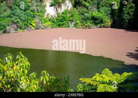 Southern Crater Lake nella Waimangu Volcanic Valley - nuova Zelanda Foto Stock