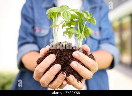 Mani, suolo e piante per la giornata della terra con contadini, crescita e sostenibilità in natura o in giardino. Ecologico, persona e germoglio o foglia e sporco per Foto Stock