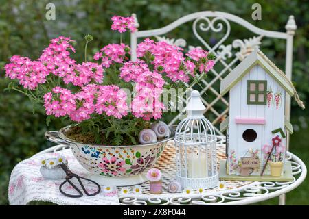 disposizione giardino con fiore di verbena rosa in un colino decorativo, una casa per uccelli e una gabbia per uccelli Foto Stock