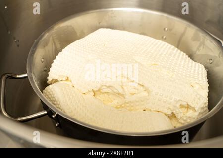 Il processo di produzione della mozzarella italiana, la ricotta. Il pezzo viene assestato in una teglia metallica. Foto di alta qualità Foto Stock