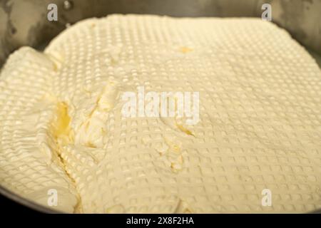 Primo piano di una preparazione per la mozzarella. Produzione di formaggio in una piccola azienda agricola. Foto di alta qualità Foto Stock