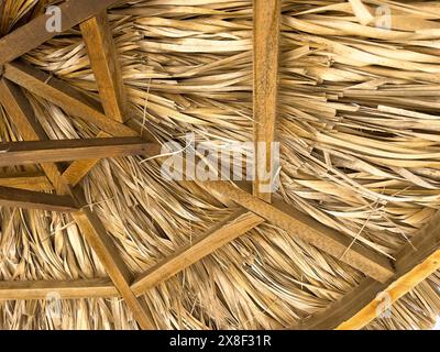 Esplorando la complessa bellezza e l'artigianato di un tradizionale tetto in paglia dall'interno. Foto Stock