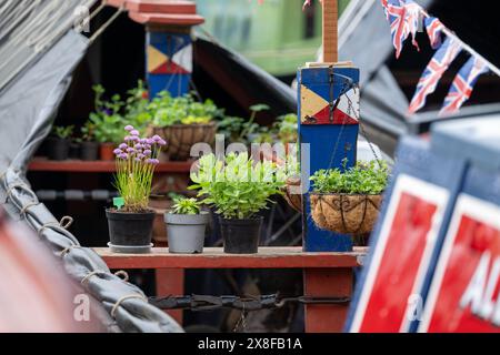 Piante in pentole nella stiva di un vecchio, storico e tradizionale narrowboat in mostra ai visitatori del Crick Boat Show. Foto Stock