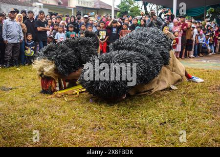 Bandung Regency, Giava Occidentale, Indonesia. 25 maggio 2024. Artisti che eseguono arte Reak mentre si esibiscono nel villaggio di Cibiru Wetan, Bandung Regency. Reak è un'arte tradizionale che si è sviluppata nell'area di East Bandung. Questa arte tradizionale consiste in cani da cane, kuda lumping e maschera bangbarongan o barong. (Credit Image: © Dimas Rachmatsyah/ZUMA Press Wire) SOLO PER USO EDITORIALE! Non per USO commerciale! Foto Stock