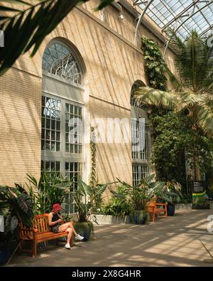 All'interno del Giardino Botanico degli Stati Uniti, Washington, Distretto di Columbia Foto Stock