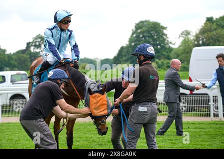 Lo staff della RaceTech ha messo un cieco su Alligator Alley prima dell'inizio di una gara a York. Foto Stock