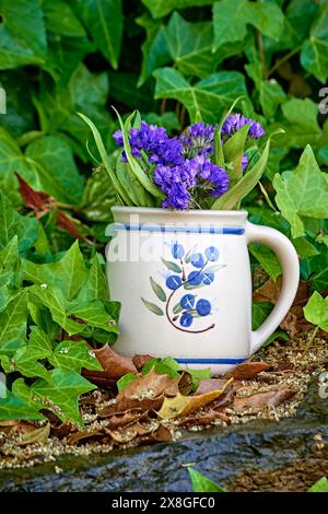 Fiori di statice viola in una piccola tazza di caffè. I tre significati più popolari associati alla fioritura sono: Ricordo, simpatia e successo. Foto Stock