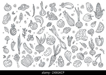 Set di verdura e frutta doodle su sfondo bianco, grafica vettoriale di cibo sano. Frutta e verdura in stile doodle, schizzo. Illustrazione Illustrazione Vettoriale