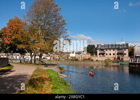 Autunno sul canale di Chichester, West Sussex, Inghilterra Foto Stock