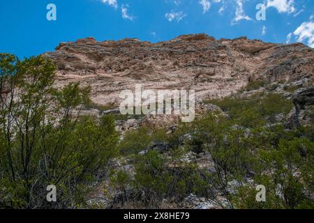 Il monumento nazionale del castello di Montezuma conserva alcune antiche abitazioni native americane in questa scogliera a Camp Verde, Arizona, USA. Foto Stock