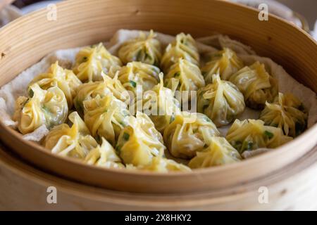 Gnocchi al vapore - erbe verdi vivaci e carne succulenta visibile - annidati in una vaporiera di bambù dall'aspetto lucido. Presa a Toronto, Canada. Foto Stock