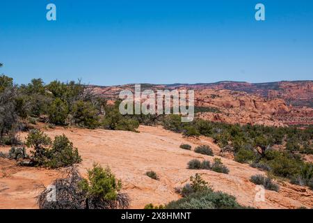 Il Navajo National Monument protegge le rovine di questa parte della Navajo Nation in Arizona, USA. Foto Stock