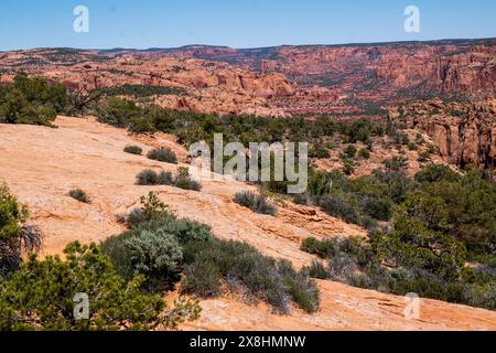 Il Navajo National Monument protegge le rovine di questa parte della Navajo Nation in Arizona, USA. Foto Stock