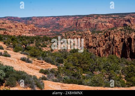 Il Navajo National Monument protegge le rovine di questa parte della Navajo Nation in Arizona, USA. Foto Stock