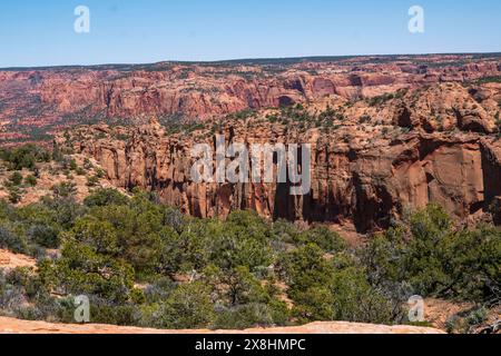 Il Navajo National Monument protegge le rovine di questa parte della Navajo Nation in Arizona, USA. Foto Stock