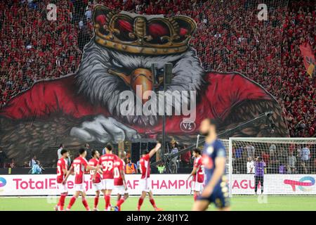 Cairo, Egitto. 25 maggio 2024. I tifosi di al Ahly tifo per la squadra durante l'ultima partita tra al Ahly dell'Egitto e ES Tunis della Tunisia alla CAF Champions League 2024 a il Cairo, Egitto, il 25 maggio 2024. Crediti: Ahmed Gomaa/Xinhua/Alamy Live News Foto Stock