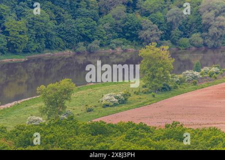 Un campo arato vicino al Dniester, nelle profondità del canyon Foto Stock