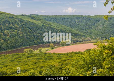 Un campo arato vicino al Dniester, nelle profondità del canyon Foto Stock