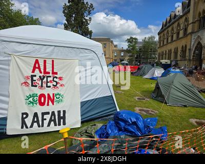 La polizia ha interrotto una protesta pro-palestinese a Oxford dopo che i manifestanti studenteschi hanno organizzato un sit-in pacifico in un edificio di uffici universitari. La manifestazione faceva parte delle proteste in corso contro la guerra a Gaza da parte di studenti in tutti gli Stati Uniti e in Europa. Londra, regno unito. Foto Stock