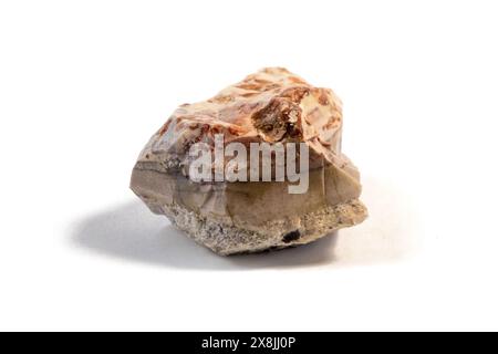 Pelitic Schist Rock, isolata su sfondo bianco da vicino Foto Stock