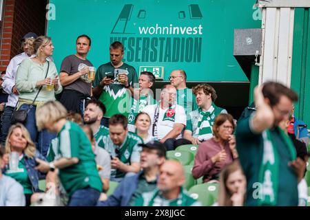 Brema, Germania. 18 maggio 2024. firo : 18.05.2024, calcio, calcio, 1. Campionato, 1. Bundesliga, stagione 2023/2024, SV Werder Brema - VfL Bochum Wohninvest Weserstadion a Brema, branding, logo, fan curve, fan block, credito: dpa/Alamy Live News Foto Stock