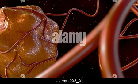 il rendering 3d del cancro richiede un apporto di sangue per fornire i nutrienti e l'ossigeno necessari per crescere e sopravvivere Foto Stock