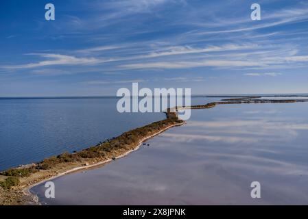 Vista esterna delle saline di Trinitat, a Punta de la Banya, nel Delta dell'Ebro (Tarragona, Catalogna, Spagna) Foto Stock