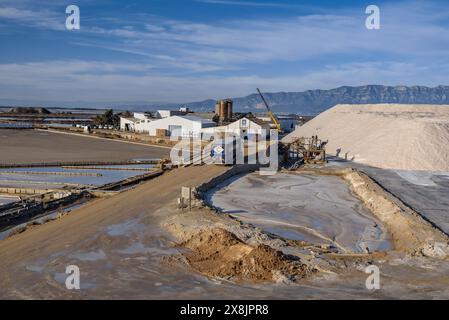 Vista esterna delle saline di Trinitat, a Punta de la Banya, nel Delta dell'Ebro (Tarragona, Catalogna, Spagna) Foto Stock