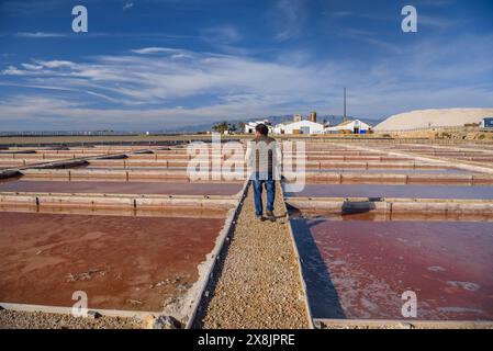 Vista esterna delle saline di Trinitat, a Punta de la Banya, nel Delta dell'Ebro (Tarragona, Catalogna, Spagna) Foto Stock