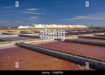 Vista esterna delle saline di Trinitat, a Punta de la Banya, nel Delta dell'Ebro (Tarragona, Catalogna, Spagna) Foto Stock