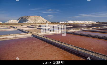 Vista esterna delle saline di Trinitat, a Punta de la Banya, nel Delta dell'Ebro (Tarragona, Catalogna, Spagna) Foto Stock