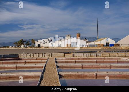 Vista esterna delle saline di Trinitat, a Punta de la Banya, nel Delta dell'Ebro (Tarragona, Catalogna, Spagna) Foto Stock