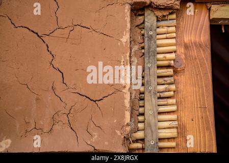 Salvador Gómez, uno degli ultimi maestri costruttori di capanne del Delta dell'Ebro in una capanna che stanno costruendo a Sant Jaume d'Enveja (Tarragona, Catalogna, Spagna) Foto Stock