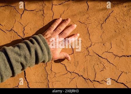 Salvador Gómez, uno degli ultimi maestri costruttori di capanne del Delta dell'Ebro in una capanna che stanno costruendo a Sant Jaume d'Enveja (Tarragona, Catalogna, Spagna) Foto Stock