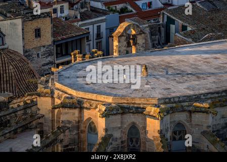 Particolare della cattedrale di Tortosa all'alba (Tarragona, Catalogna, Spagna) ESP: Detalle de la catedral de Tortosa al amanecer. Tarragona Cataluña España Foto Stock